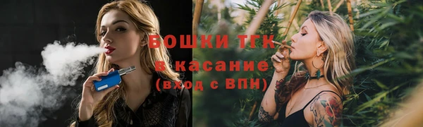 мдпв Кадников