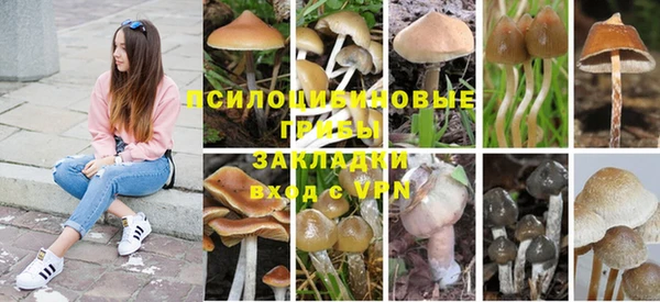 экстази Ладушкин
