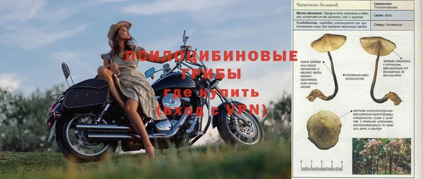 прущие крисы Лагань
