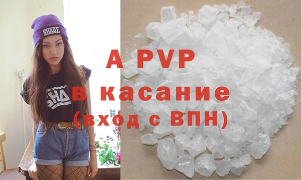 индика Кукмор