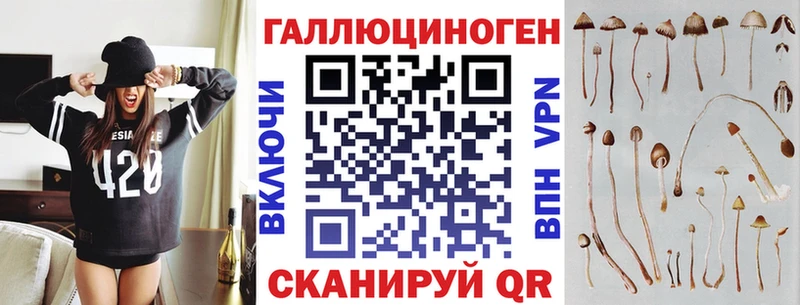 где можно купить наркотик  Лесной  Галлюциногенные грибы мухоморы 