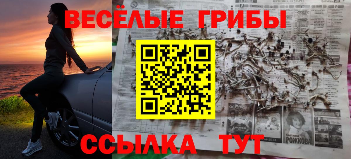 Лесной  Галлюциногенные грибы GOLDEN TEACHER  Вход с VPN  Галлюциногенные грибы Magic Shrooms 